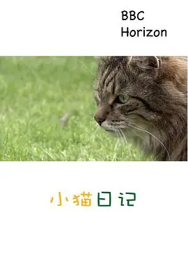 《地平线系列：小猫日记》：萌化你的心！治愈系猫咪日常，不容错过的喵星人纪录片