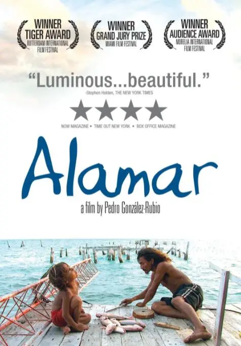 《拥抱大海》：深情凝望海洋的迷人诗篇，一场涤荡心灵的治愈之旅